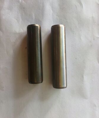 495AG Phụ tùng phụ tùng động cơ diesel - Hướng dẫn van đầu vào - 495A-01015