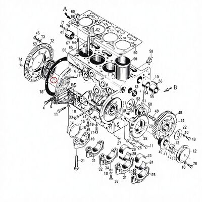 495AG Máy diesel phụ tùng dầu ngắt PG100*130*12 CN 1kg