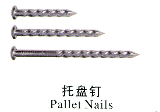 Tất cả các loại móng tay