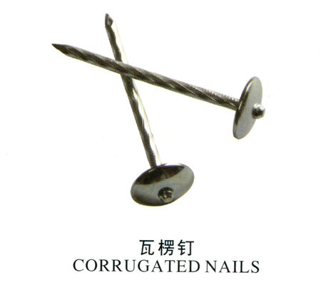 Tất cả các loại móng tay