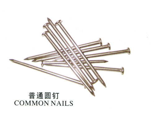Tất cả các loại móng tay