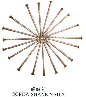 Tất cả các loại móng tay